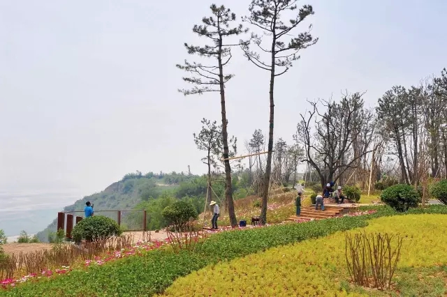 陜西省交通運輸廳領(lǐng)導(dǎo)一行百余人蒞臨沿黃公路韓城段景觀提升工程檢查工作