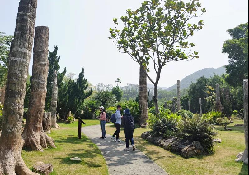 人文園林設計院考察2021粵港澳大灣區(qū)深圳花展