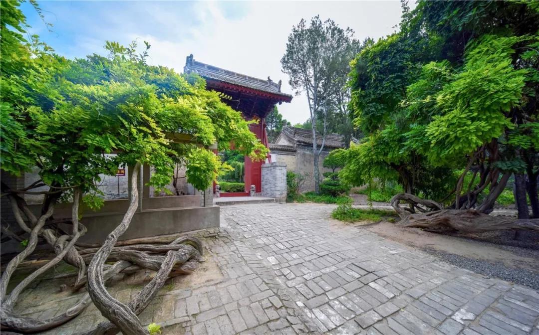 清明寄哀思，紀念園也是一種風景